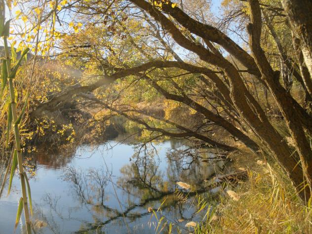 Foto: El río Tajo a su paso por terrenos del municipio - Mazuecos (Guadalajara), España