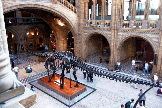 Foto: Enorme dinosaurio en el Museo de Historia Natural - Londres (England), El Reino Unido