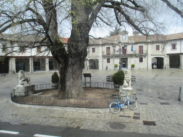 Foto: Leones de piedra en la Plaza Mayor - Guadarrama (Madrid), España