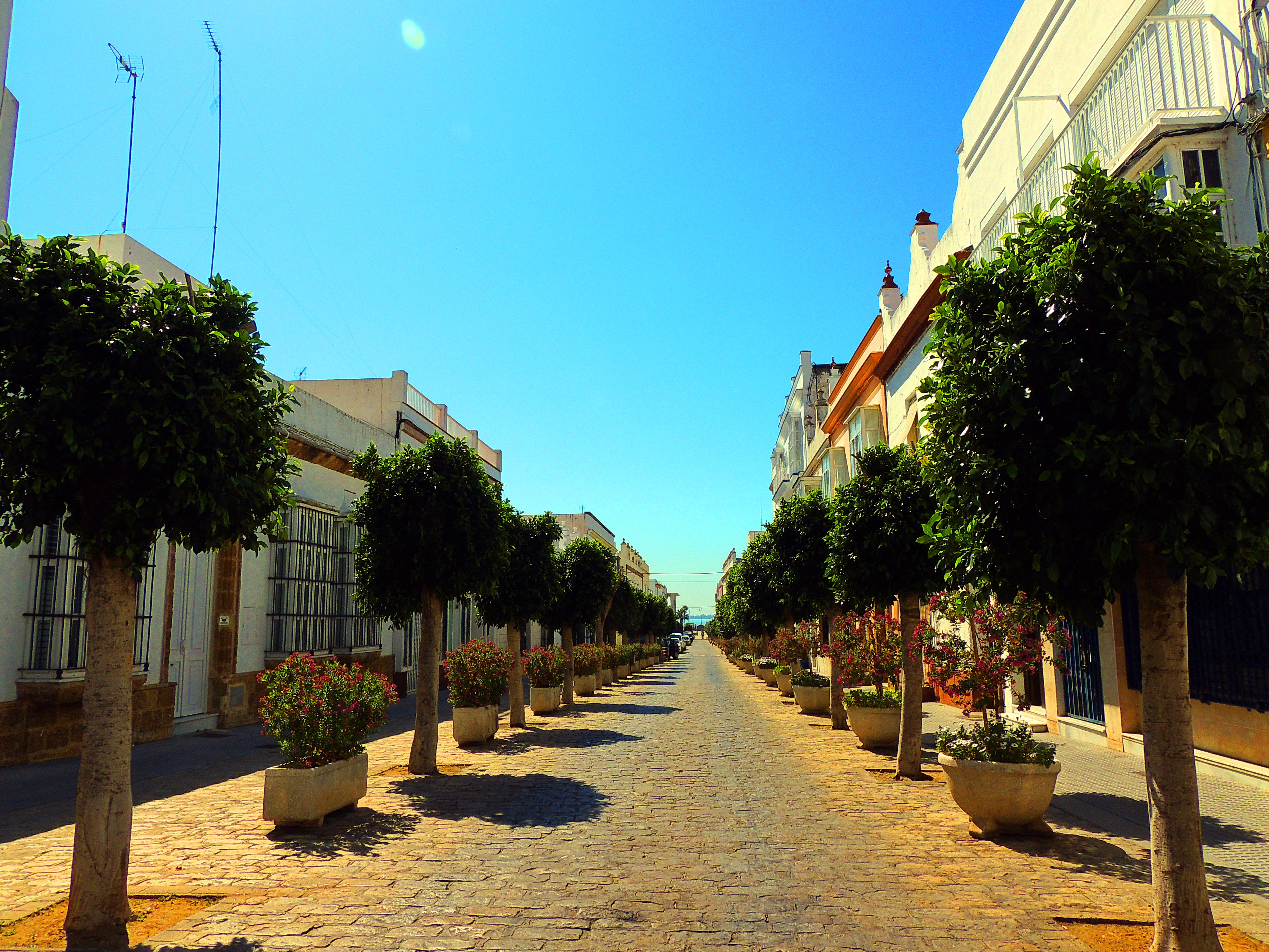 Foto Calle Ancha Puerto Real (Cádiz), España