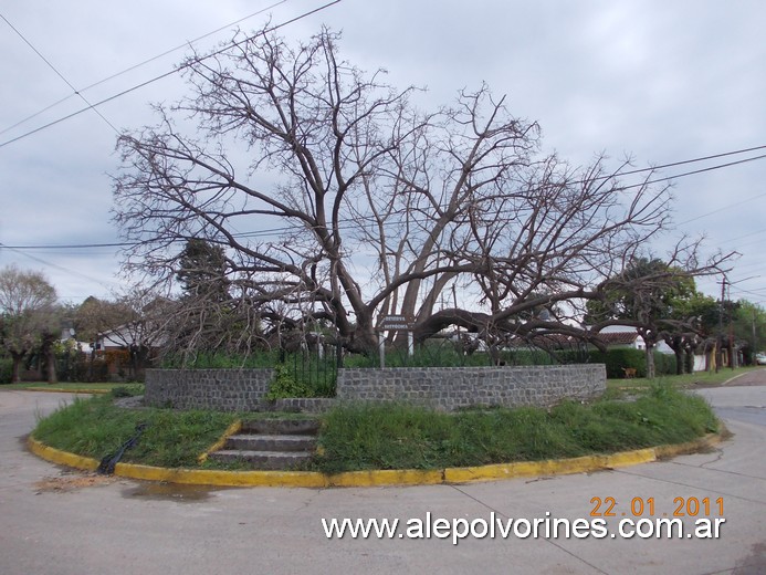 Foto: Ombu reserva historica - Jose C Paz (Buenos Aires), Argentina