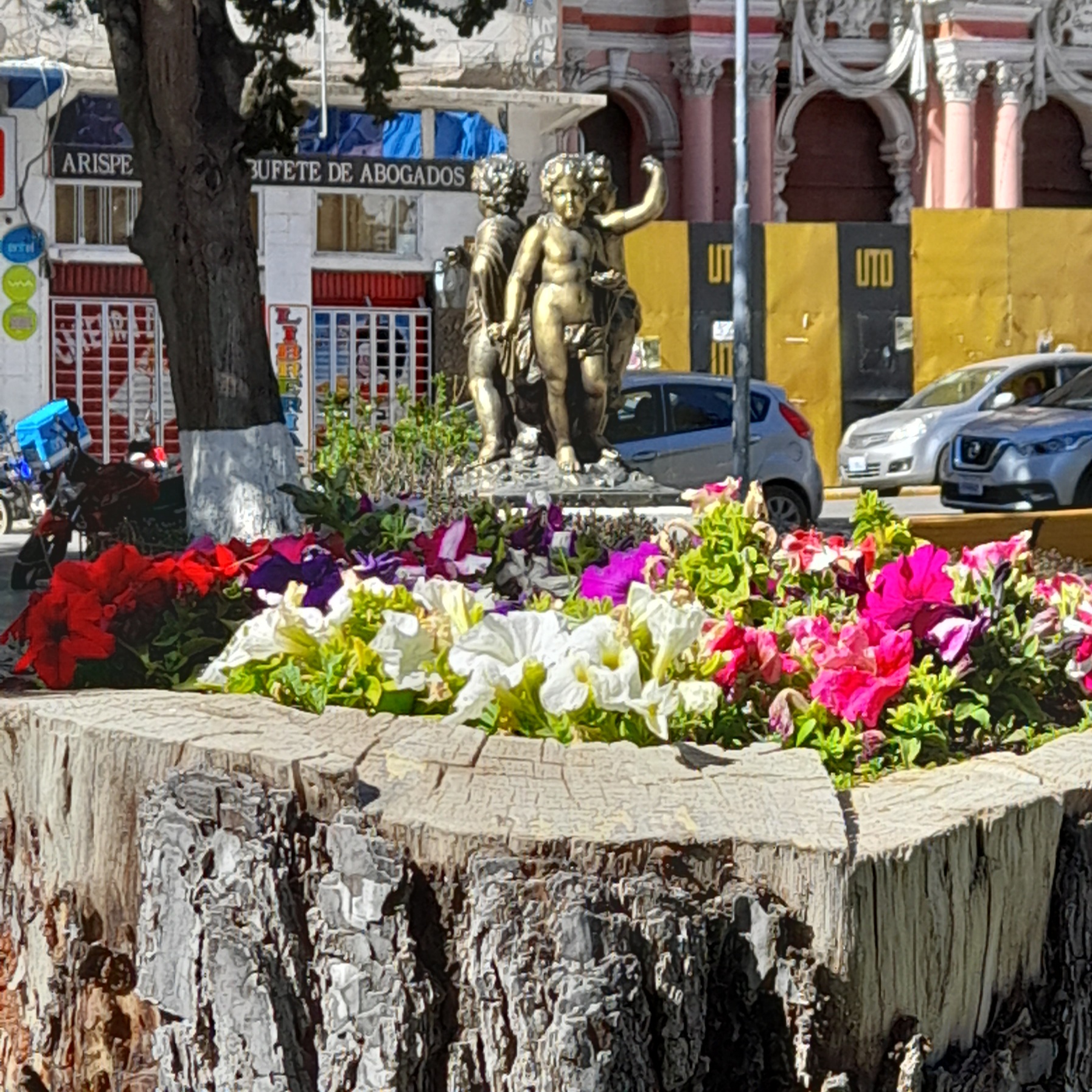 Foto: Flores sobre tronco. - Ciudad de Oruro (Oruro), Bolivia