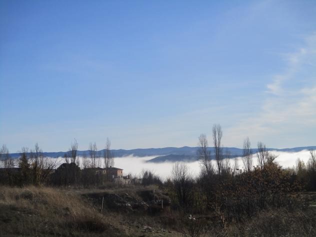 Foto: Espesa niebla en la vega del río Tajo - Mazuecos (Castilla La Mancha), España
