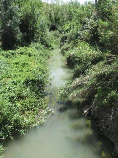 Foto: El río Tajuña a su paso por el municipio - Tielmes (Comunidad de Madrid), España