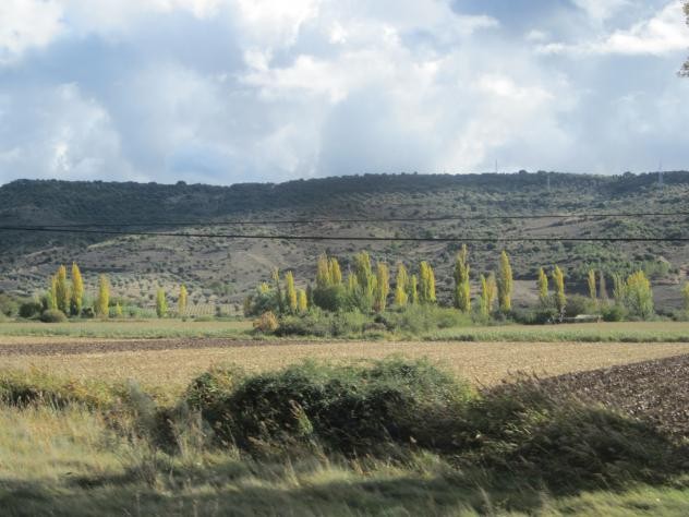 Foto: Paisaje de la zona - Tielmes (Comunidad de Madrid), España