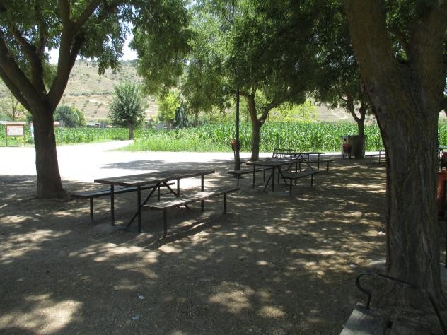 Foto: Merendero junto al río - Tielmes (Comunidad de Madrid), España