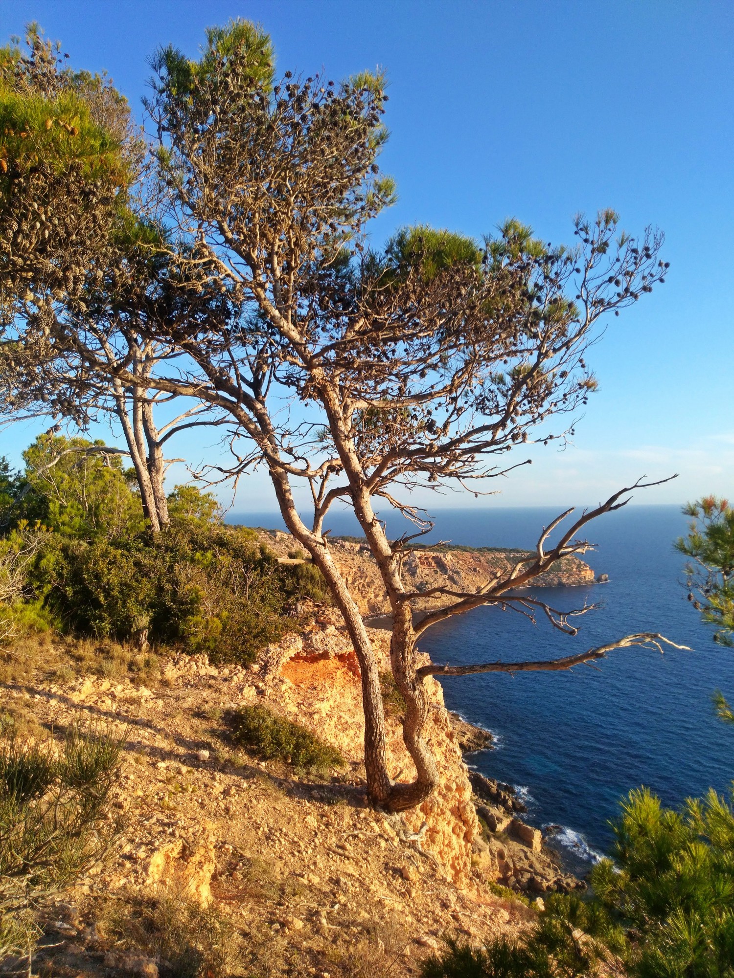 Foto de Calviá (Illes Balears), España