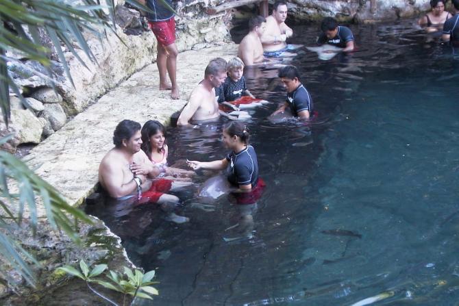 Foto: Visitantes dando de comer a tiburones - XCaret (Quintana Roo), México