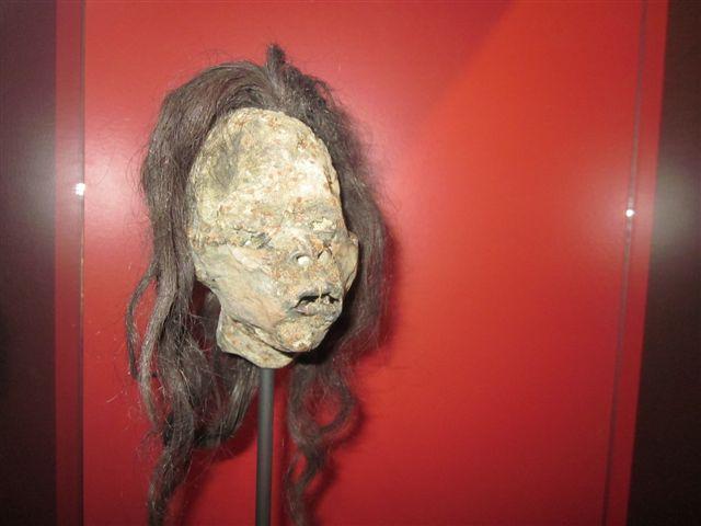 Foto: Cabeza reducida por los Jíbaros en el Amazonas - Viña del Mar (Valparaíso), Chile