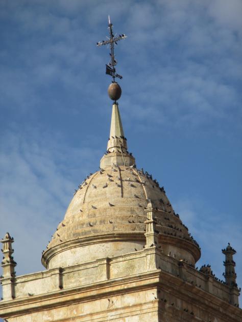Foto: Cúpula de Santa María Magdalena llena de palomas - Móndejar (Guadalajara), España