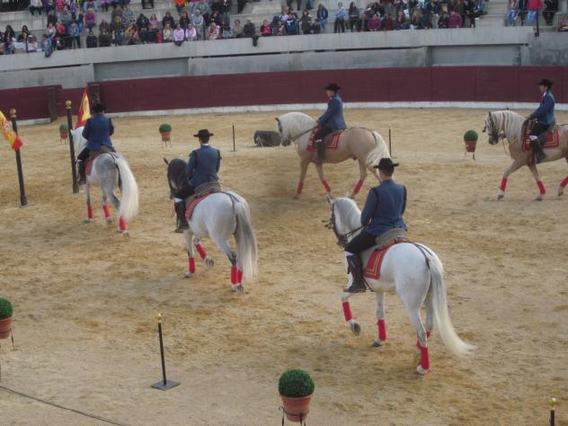 Foto: Espectáculo de doma clásica en la plaza de toros - Almoguera (Guadalajara), España