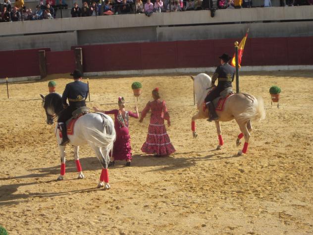 Foto: Espectáculo de doma y baile en el ruedo de la plaza de toros - Almoguera (Guadalajara), España