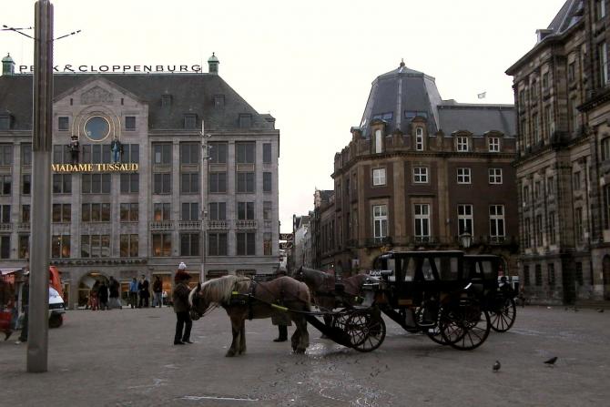 Foto: Carruajes tirados por caballos percherones para dar paseos - Amsterdam (North Holland), Países Bajos