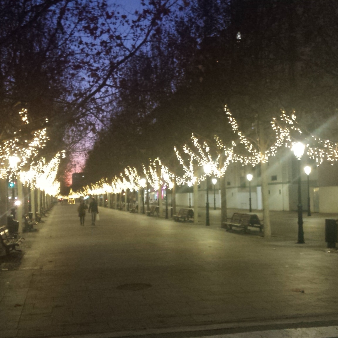 Foto: Navidad 2019 - Calatayud (Zaragoza), España