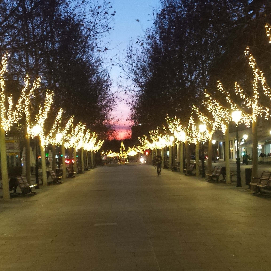 Foto: Navidad 2019 - Calatayud (Zaragoza), España