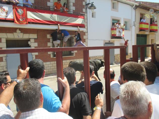 Foto: Encierro por las calles durante las fiestas - Pozo de Almoguera (Guadalajara), España