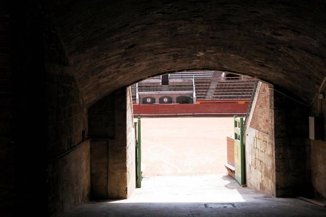 Foto: Entrada al ruedo de la plaza de toros - Valencia (València), España