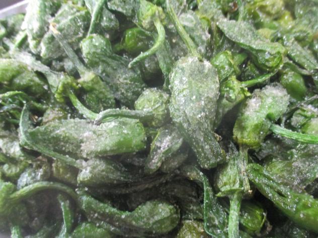 Foto: Pimientos fritos de Padrón un plato típico gallego - Madrid (Comunidad de Madrid), España