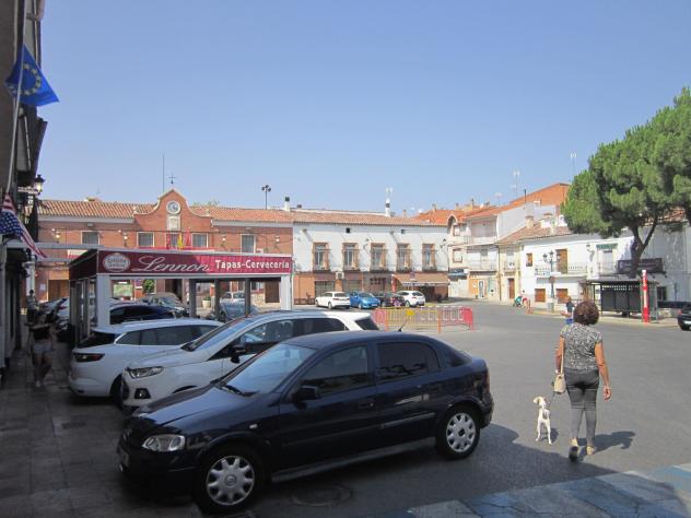 Foto: Paseando la mascota por la Plaza Mayor - Campo Real (Madrid), España