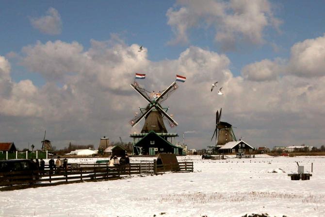 Foto: Los molinos en día de nevada - Zaandam (North Holland), Países Bajos