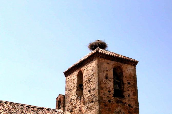 Foto: Nido de cigüeñas en la torre del campanario de la iglesia - Romangordo (Cáceres), España