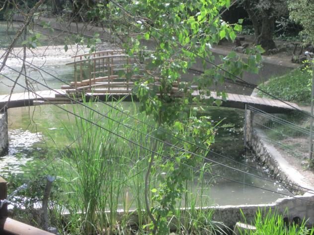 Foto: Zona recreativa junto al río Tajuña - Carabaña (Madrid), España