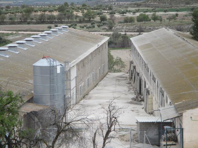 Foto: Granja avícola - Mazuecos (Guadalajara), España
