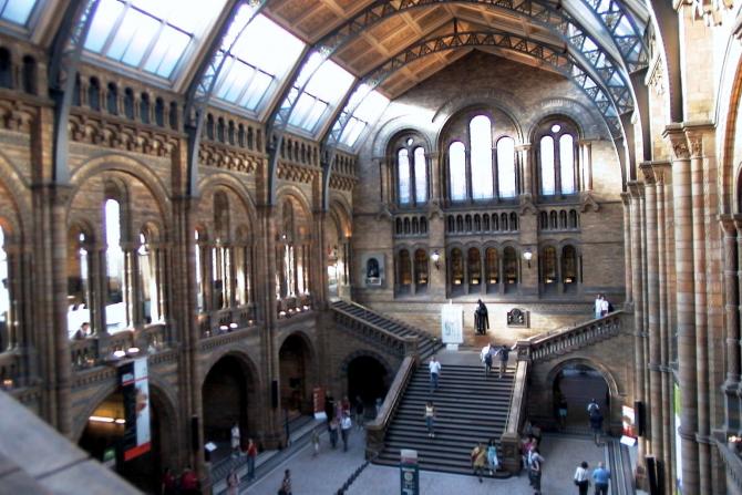 Foto: Interior del museo de Historia Natural - Londres (England), El Reino Unido