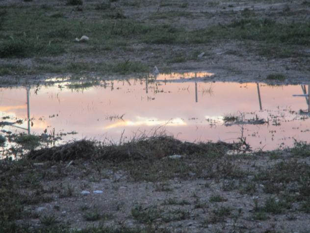 Foto: Reflejos del atardecer en un charco de lluvia - Mazuecos (Guadalajara), España