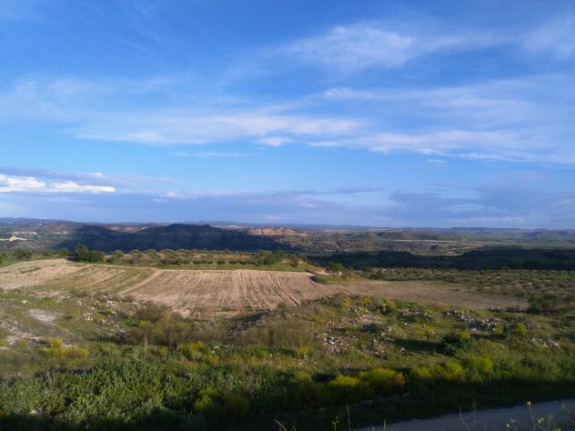 Foto: Campos en un día claro - Mazuecos (Guadalajara), España