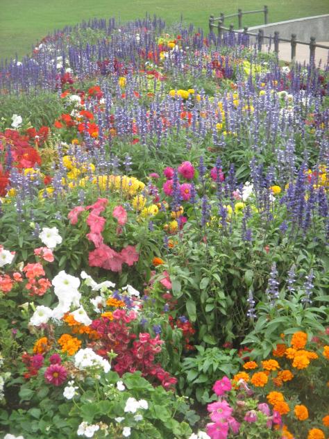 Foto: Parterre de flores en el centro - Gijón (Asturias), España