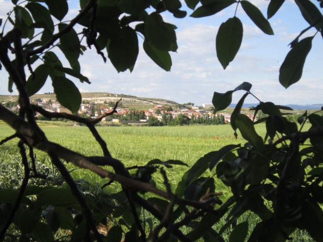 Foto: Vista lejana - Mazuecos (Guadalajara), España