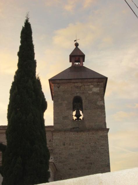 Foto: Ciprés y campanario - Mazuecos (Guadalajara), España