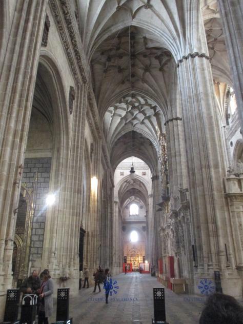 Foto: Nave en el interior de la catedral - Salamanca (Castilla y León), España