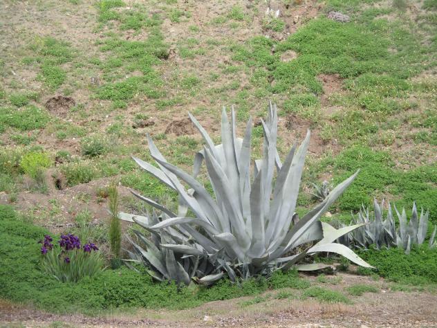 Foto de Mazuecos (Guadalajara), España