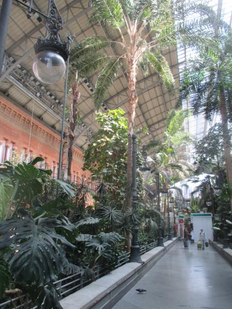 Foto: Jardín tropical en la estación de tren de Atocha - Madrid (Comunidad de Madrid), España