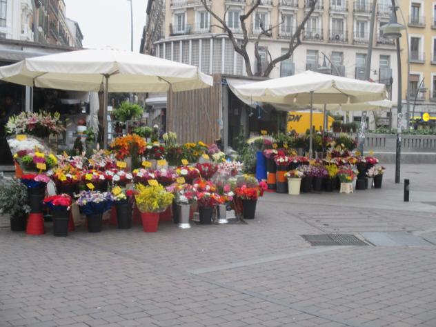 Foto: Plaza Tirso de Molina - Madrid (Comunidad de Madrid), España