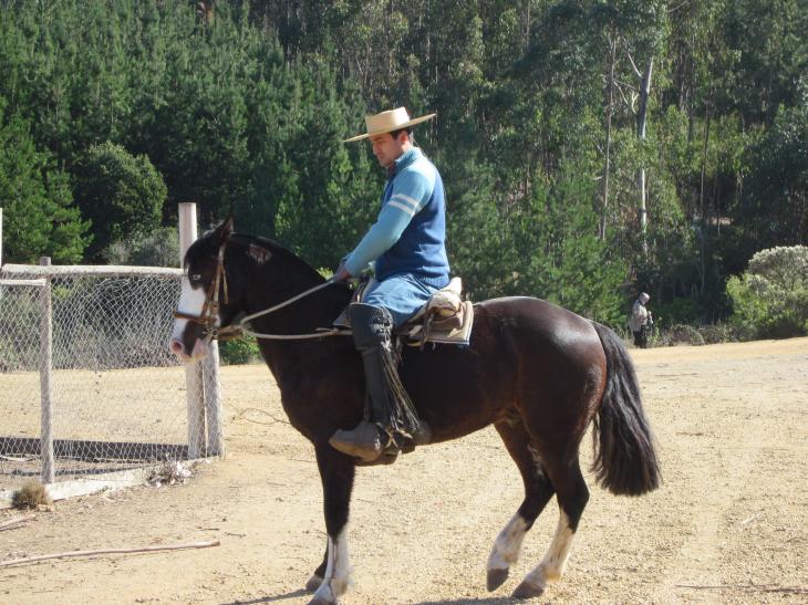 Foto: Lugareño a caballo - El Totoral (Valparaíso), Chile