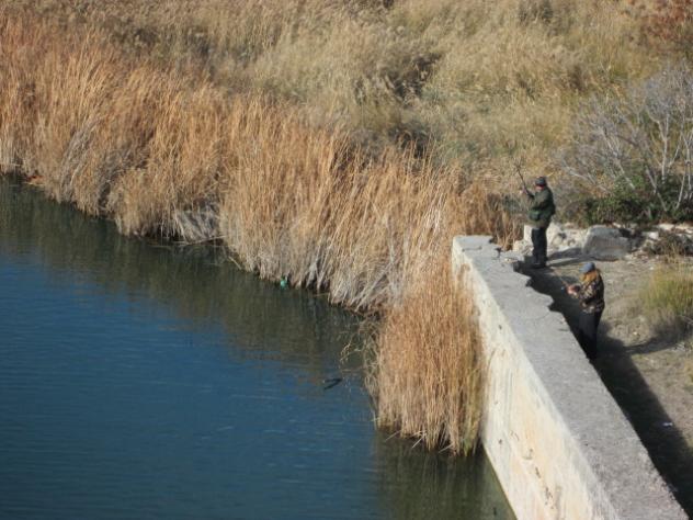 Foto: Pescadores en la presa - Almoguera (Guadalajara), España