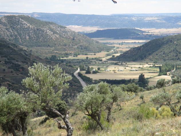 Foto: Paisaje de la localidad - Pastrana (Guadalajara), España