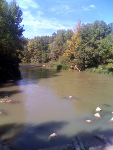 Foto: Curso del río por el municipio - Villalba de Duero (Burgos), España