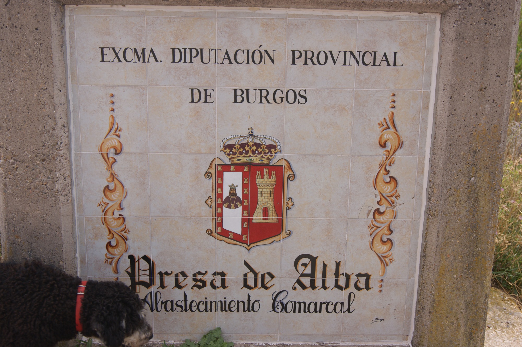 Foto: Presa de Alba - Villasur de Herreros (Cantabria), España