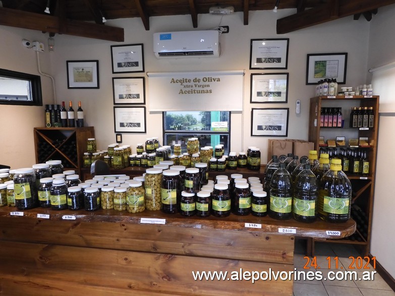 Foto: Olivícola Simone - Maipú Mendoza - Maipu (Mendoza), Argentina