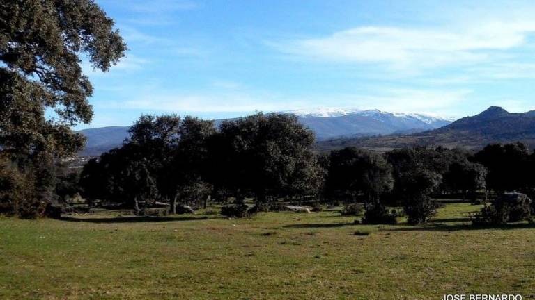 Foto: Campos - Nava de Béjar (Castilla y León), España