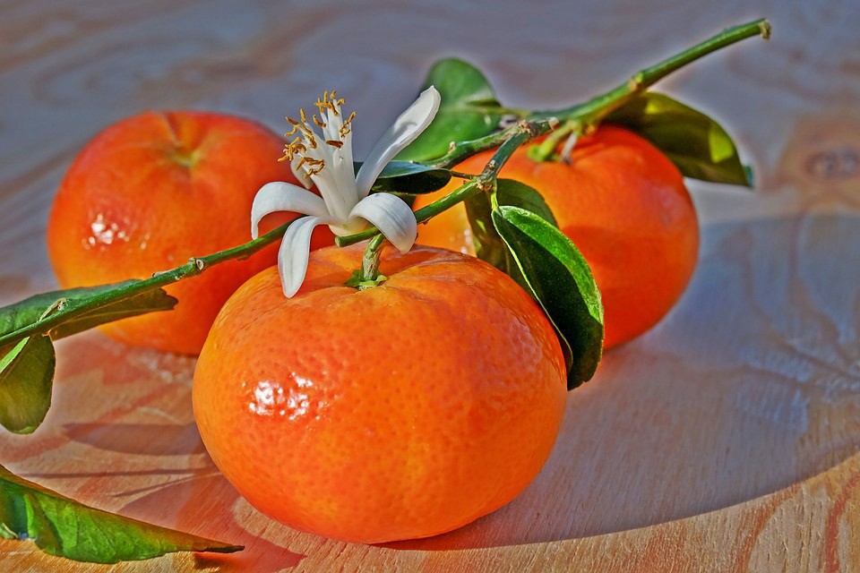 Foto: Mandarinas - Valencia (Comunidad Valenciana), España