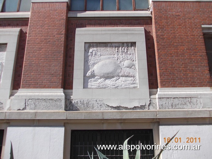 Foto: Caballito - Museo Ciencias Naturales Bernardino Rivadavia - Caballito (Buenos Aires), Argentina