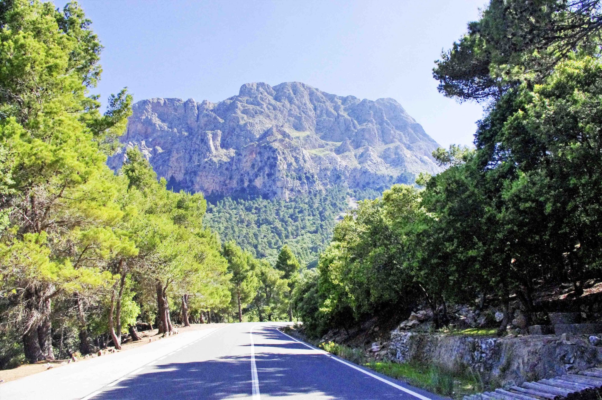 Foto: Carretera al Gorg Blau - Escorca (Illes Balears), España