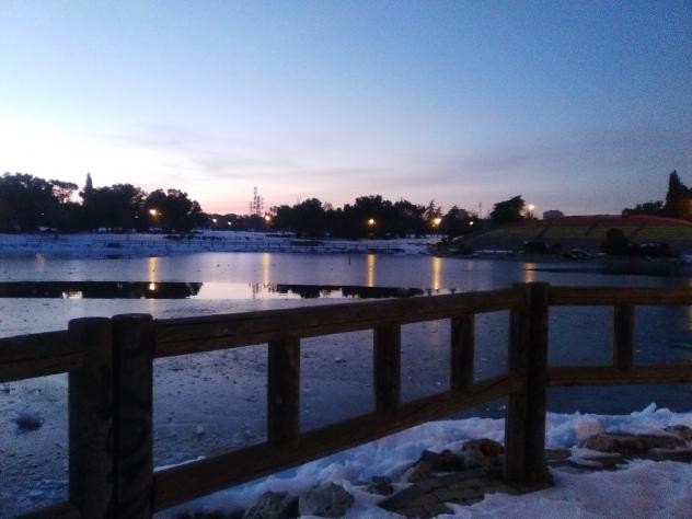 Foto: Estanque helado del parque de Las Cruces - Madrid (Comunidad de Madrid), España