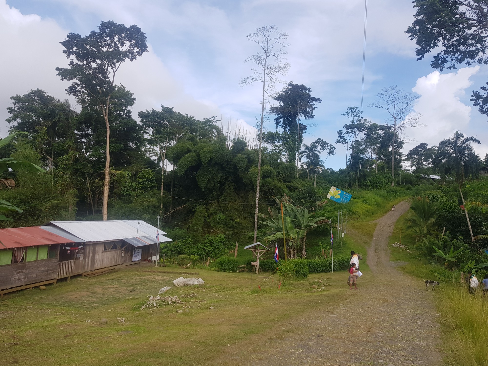 Foto: Zonas altas talamanca - Talamanca (Limón), Costa Rica