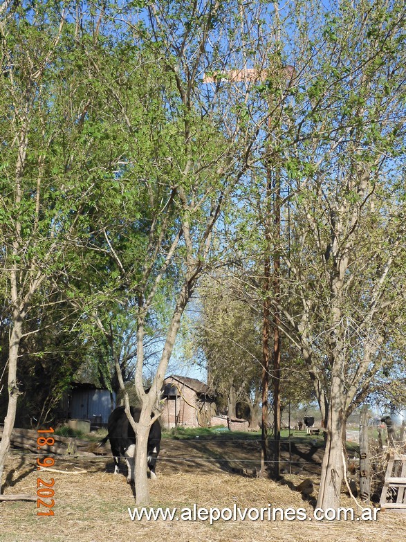 Foto: Estacion Vedia CGBA - Vedia (Buenos Aires), Argentina